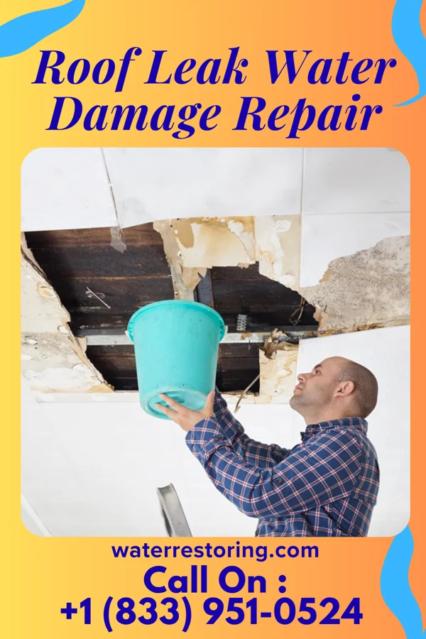 Roof Leak Water Damage Repair in Bountiful, UT